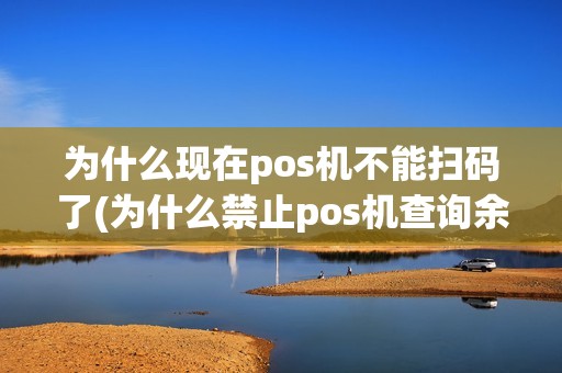 为什么现在pos机不能扫码了(为什么禁止pos机查询余额)