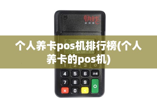 个人养卡pos机排行榜(个人养卡的pos机)