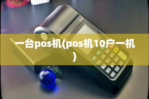 一台pos机(pos机10户一机)