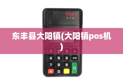 东丰县大阳镇(大阳镇pos机)