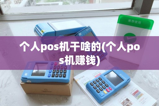 个人pos机干啥的(个人pos机赚钱)