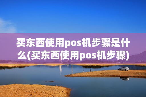 买东西使用pos机步骤是什么(买东西使用pos机步骤)