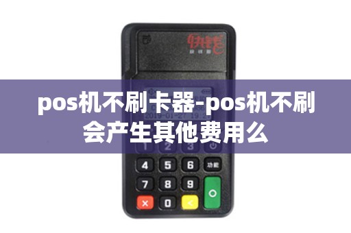 pos机不刷卡器-pos机不刷会产生其他费用么