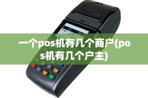 一个pos机有几个商户(pos机有几个户主)