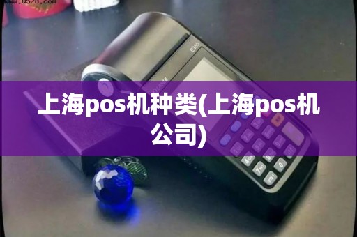 上海pos机种类(上海pos机公司)