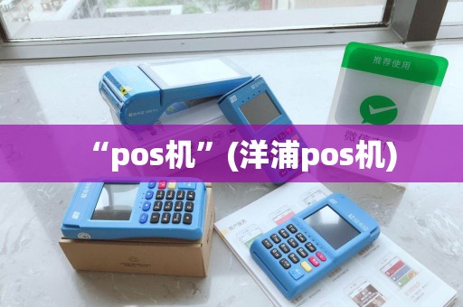 “pos机”(洋浦pos机)