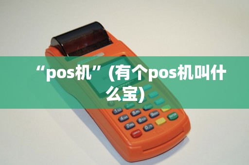 “pos机”(有个pos机叫什么宝)