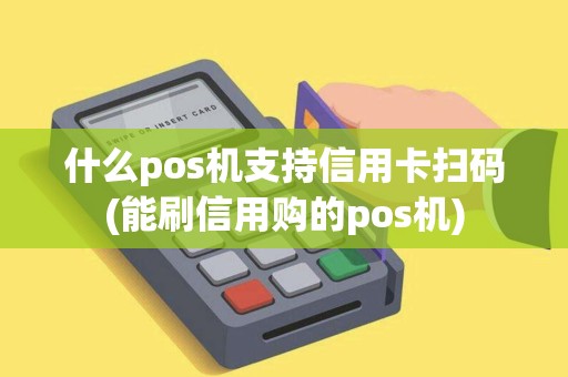 什么pos机支持信用卡扫码(能刷信用购的pos机)