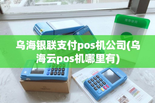 乌海银联支付pos机公司(乌海云pos机哪里有)