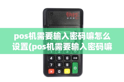pos机需要输入密码嘛怎么设置(pos机需要输入密码嘛)