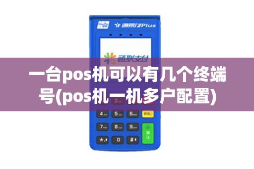 一台pos机可以有几个终端号(pos机一机多户配置)