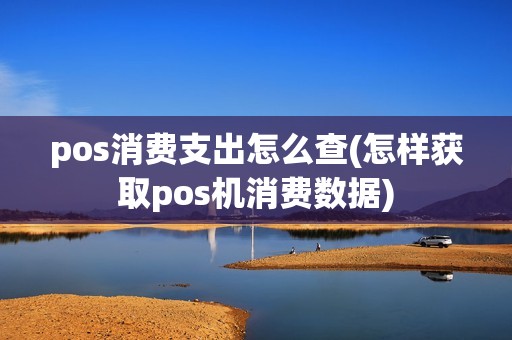 pos消费支出怎么查(怎样获取pos机消费数据)