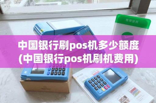 中国银行刷pos机多少额度(中国银行pos机刷机费用)