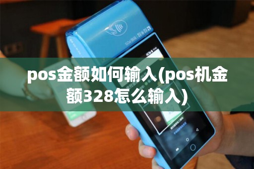 pos金额如何输入(pos机金额328怎么输入)