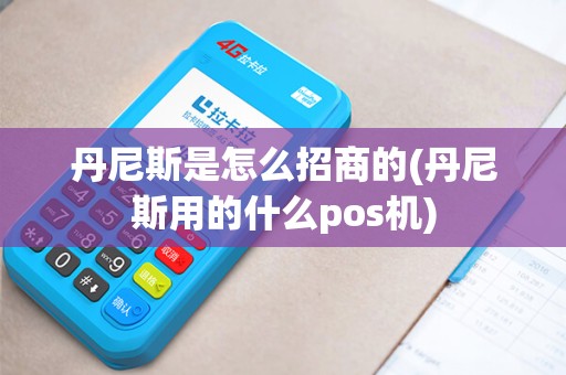 丹尼斯是怎么招商的(丹尼斯用的什么pos机)