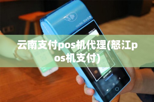 云南支付pos机代理(怒江pos机支付)