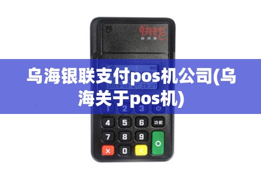 乌海银联支付pos机公司(乌海关于pos机)