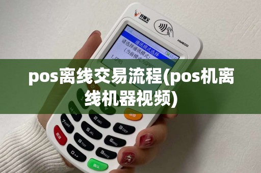 pos离线交易流程(pos机离线机器视频)