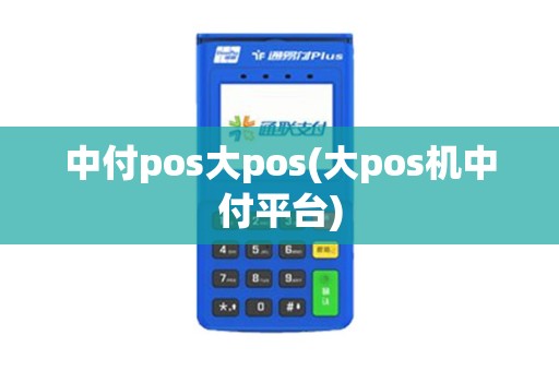 中付pos大pos(大pos机中付平台)