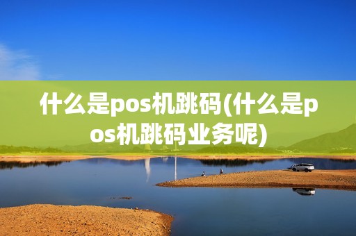什么是pos机跳码(什么是pos机跳码业务呢)