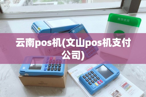 云南pos机(文山pos机支付公司)