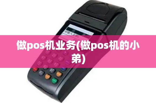 做pos机业务(做pos机的小弟)