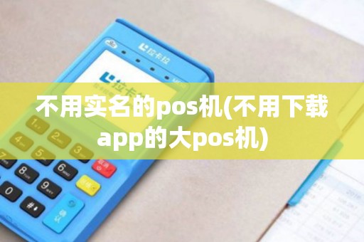 不用实名的pos机(不用下载app的大pos机)