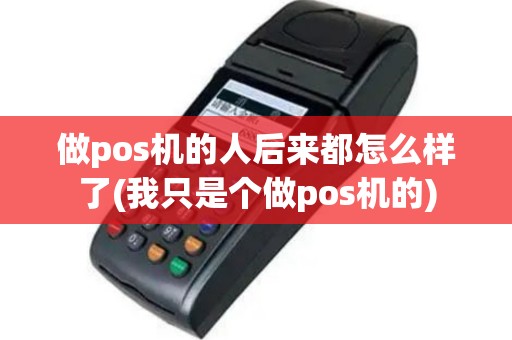 做pos机的人后来都怎么样了(我只是个做pos机的)