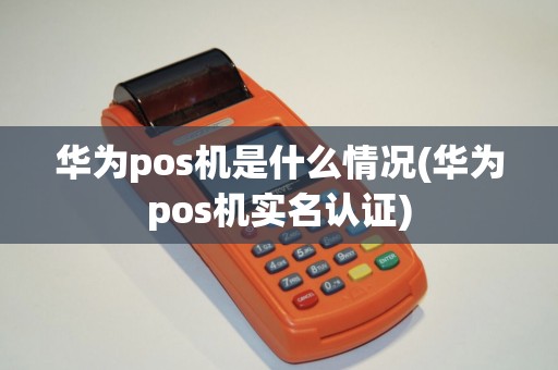 华为pos机是什么情况(华为pos机实名认证)