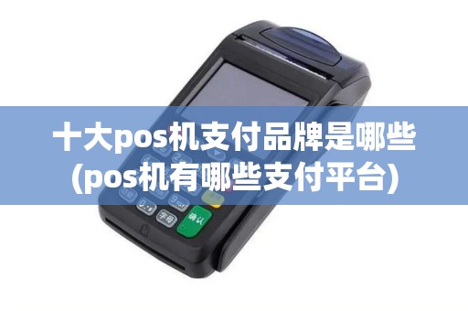 十大pos机支付品牌是哪些(pos机有哪些支付平台)