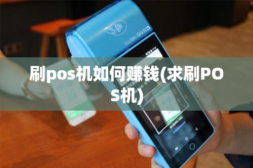 刷pos机如何赚钱(求刷POS机)