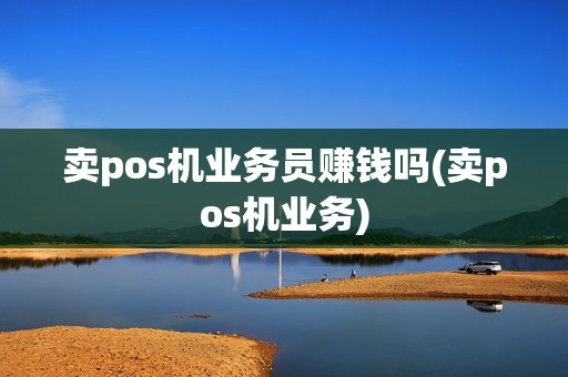 卖pos机业务员赚钱吗(卖pos机业务)