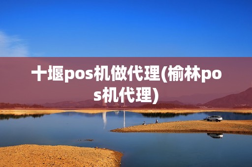 十堰pos机做代理(榆林pos机代理)