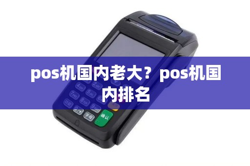 pos机国内老大？pos机国内排名