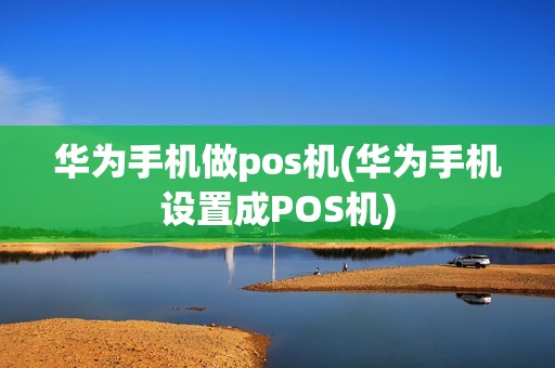 华为手机做pos机(华为手机设置成POS机)