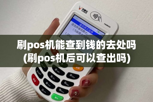 刷pos机能查到钱的去处吗(刷pos机后可以查出吗)